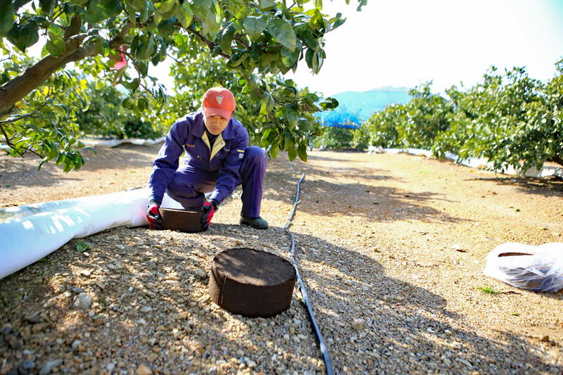 試作品のブロック堆肥を置く農協職員
