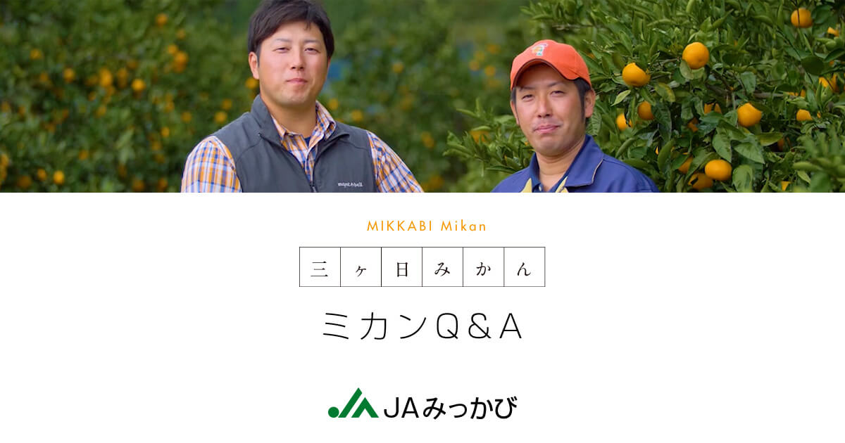 ミカンq A 三ヶ日みかん Jaみっかび